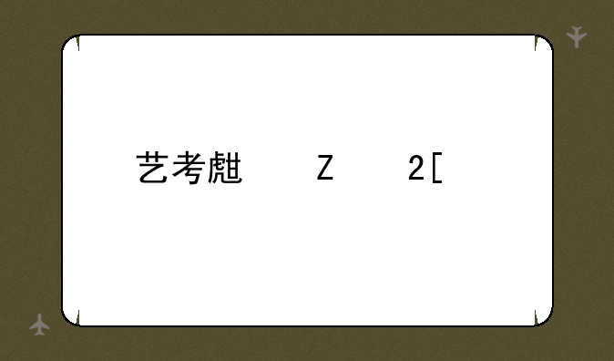 艺考生文化课学校