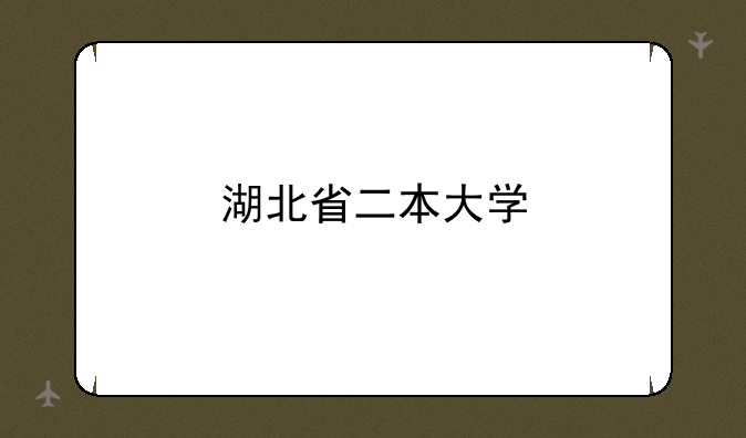 湖北省二本大学
