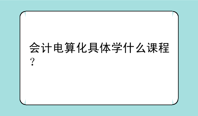 会计电算化具体学什么课程？