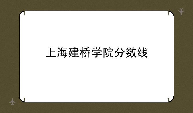 上海建桥学院分数线